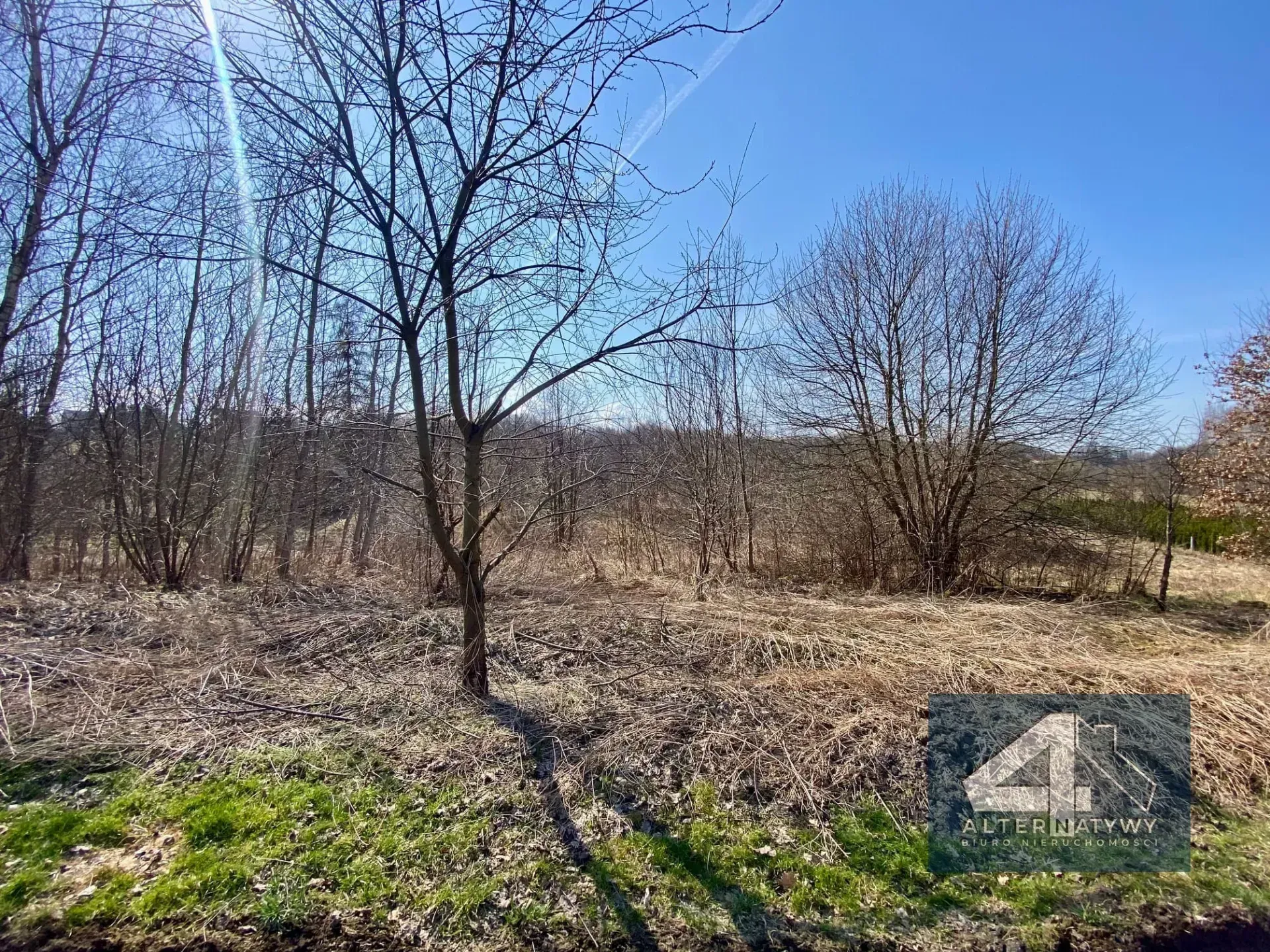 30 arów blisko Krakowa! 4