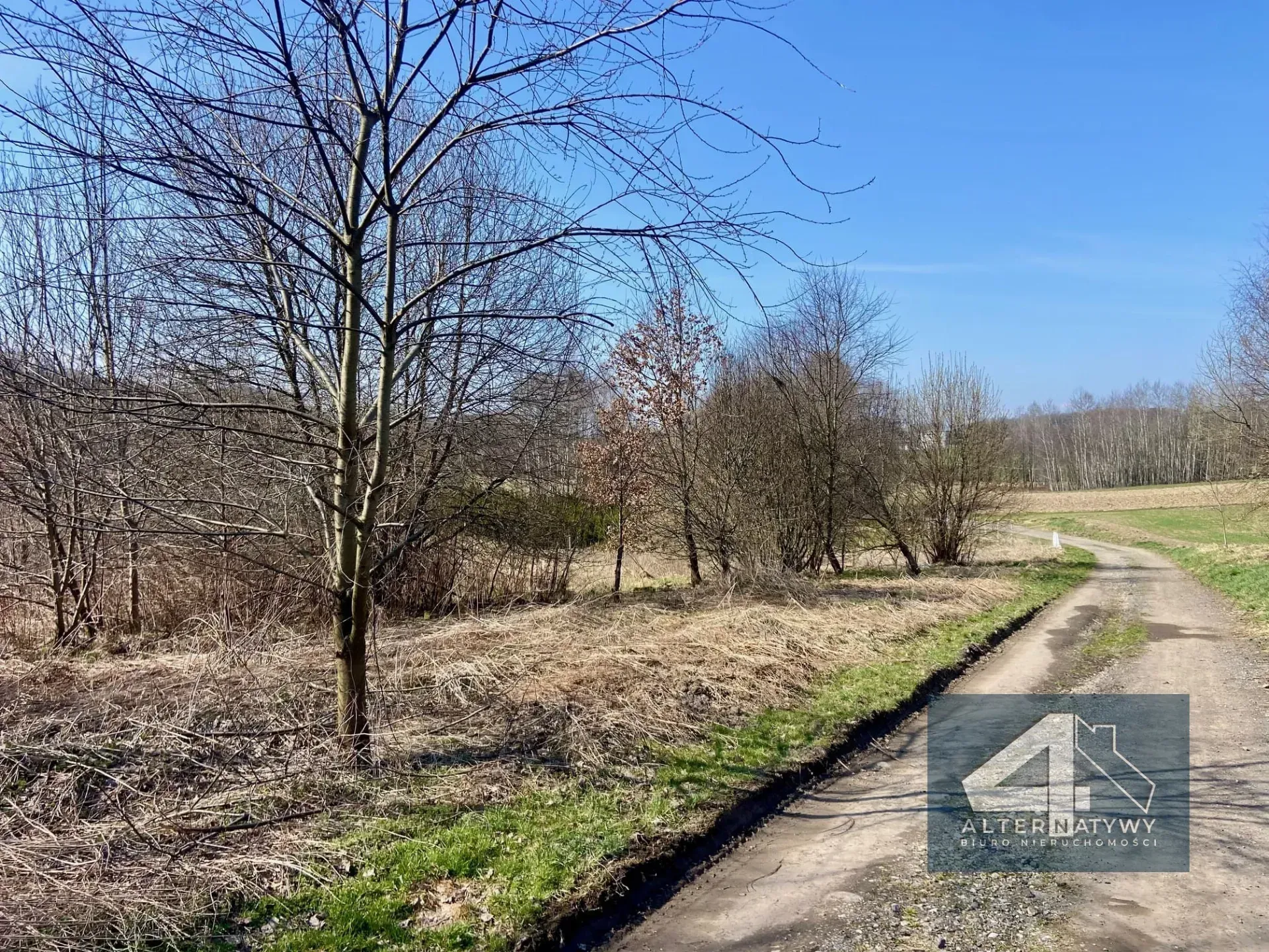 30 arów blisko Krakowa! 5