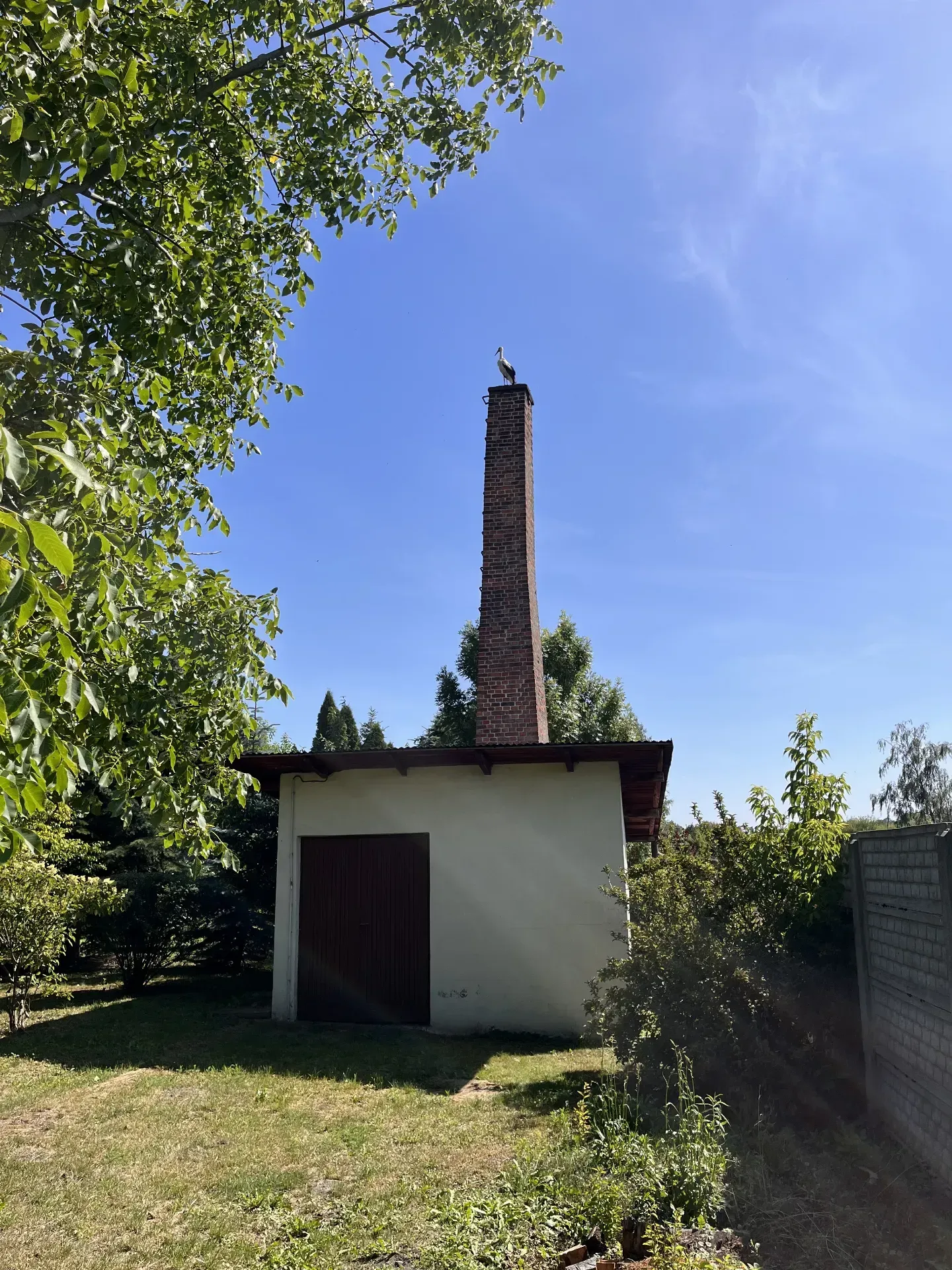 Dom na pięknej działce z dostępem do rzeki 8