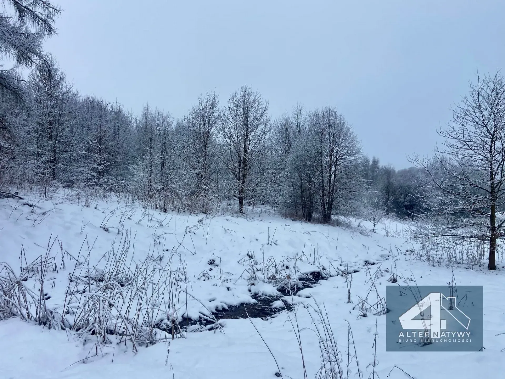 Duża działka z potencjałem - blisko Krakowa! 3