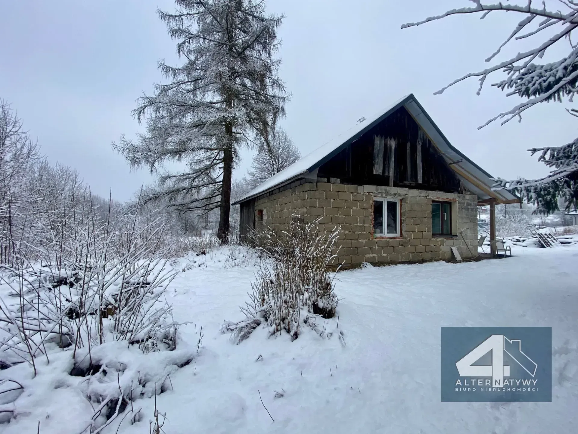 Duża działka z potencjałem - blisko Krakowa! 4