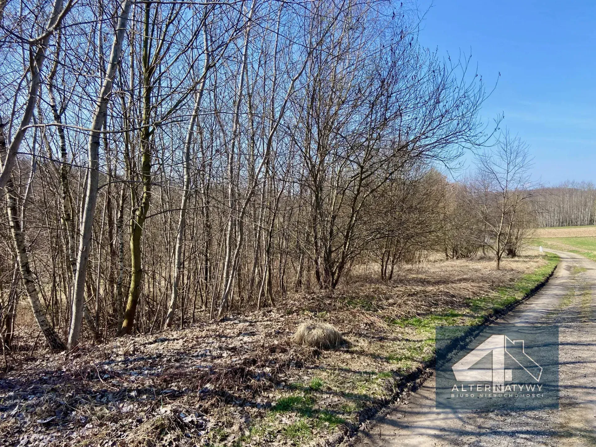 Duża działka z potencjałem - blisko Krakowa! 3