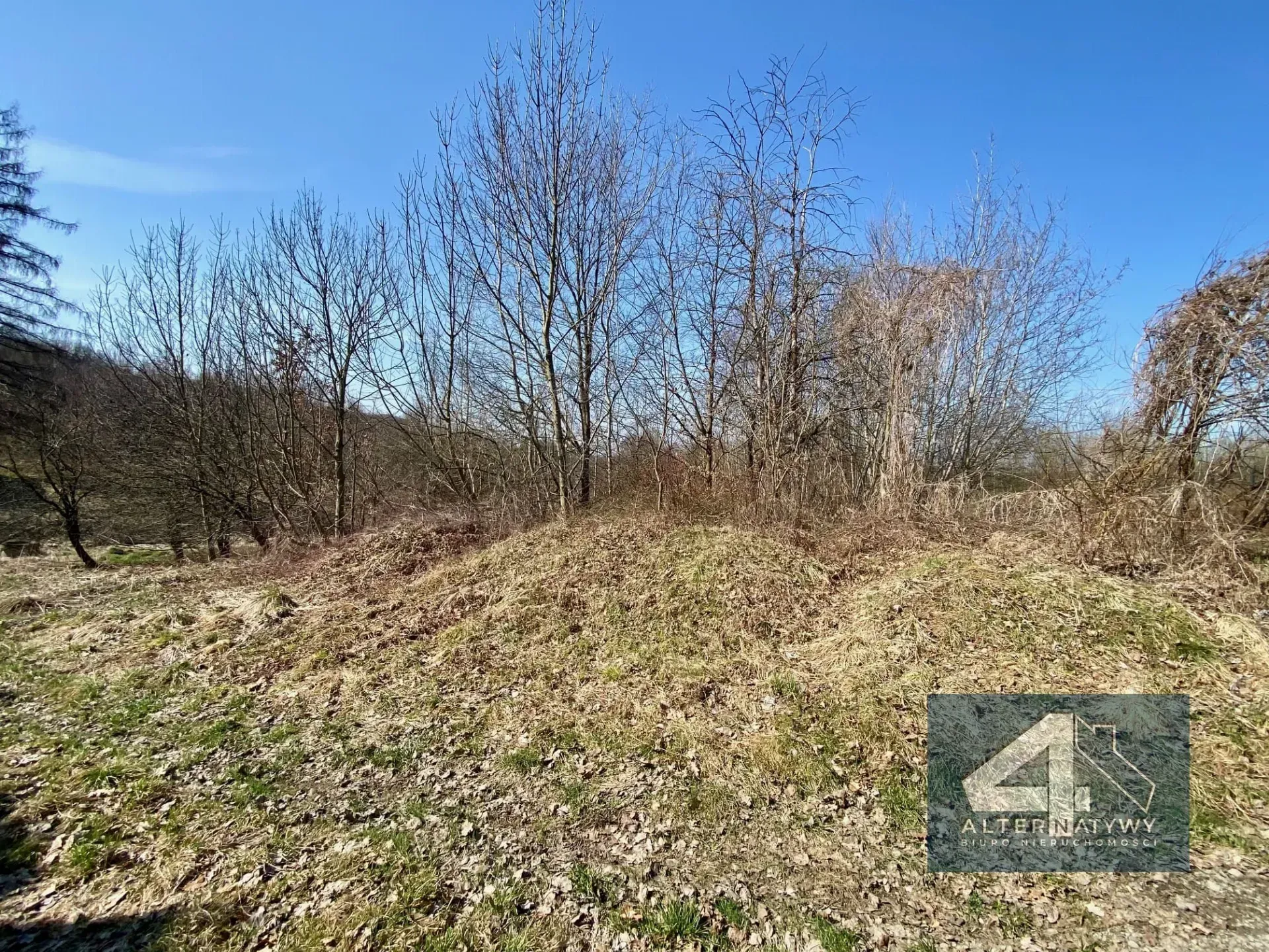 Duża działka z potencjałem - blisko Krakowa! 5
