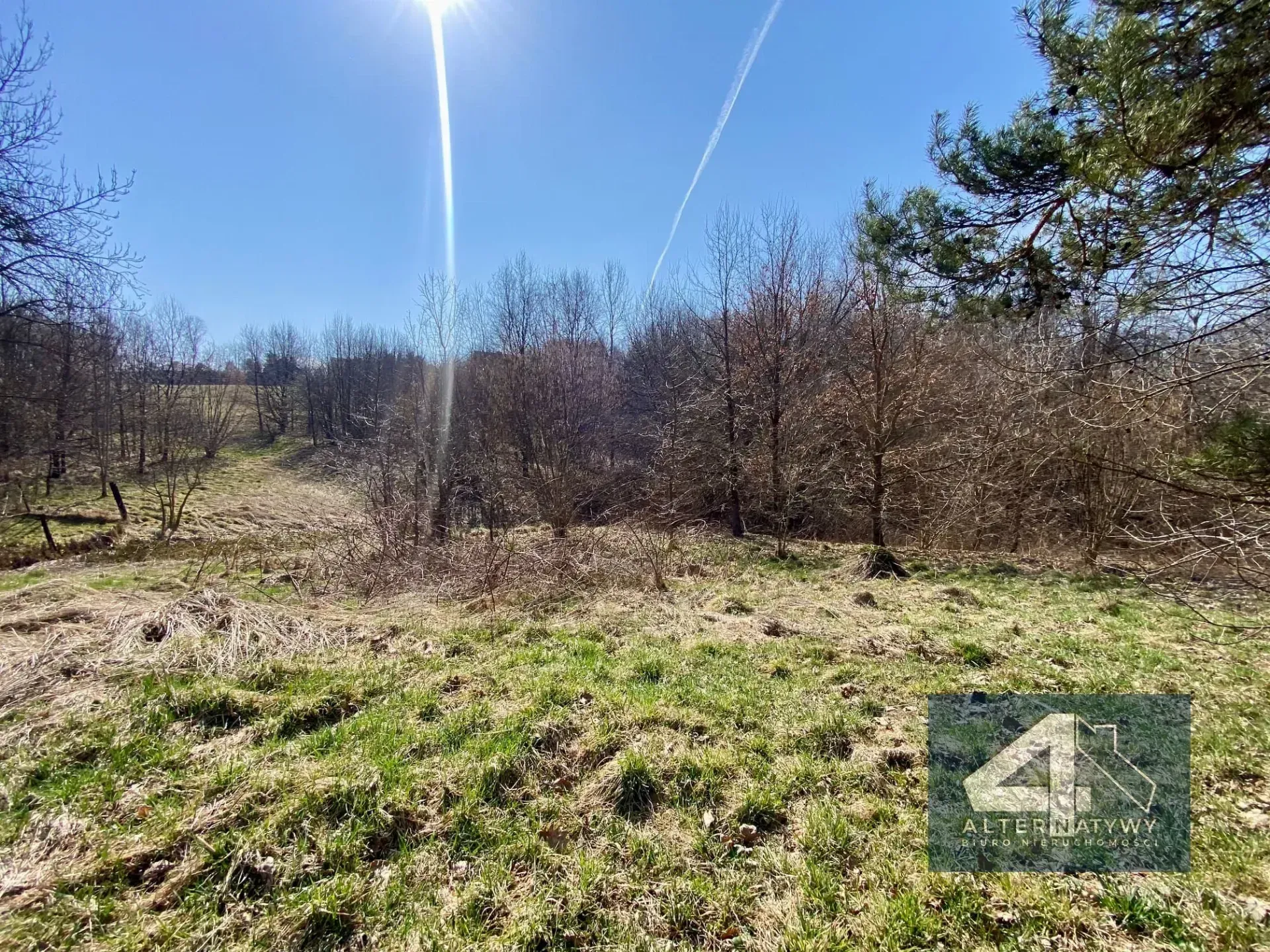 Duża działka z potencjałem - blisko Krakowa! 6