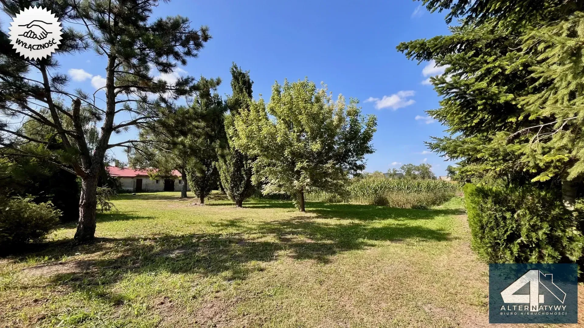 Duża działka z potencjałem 1