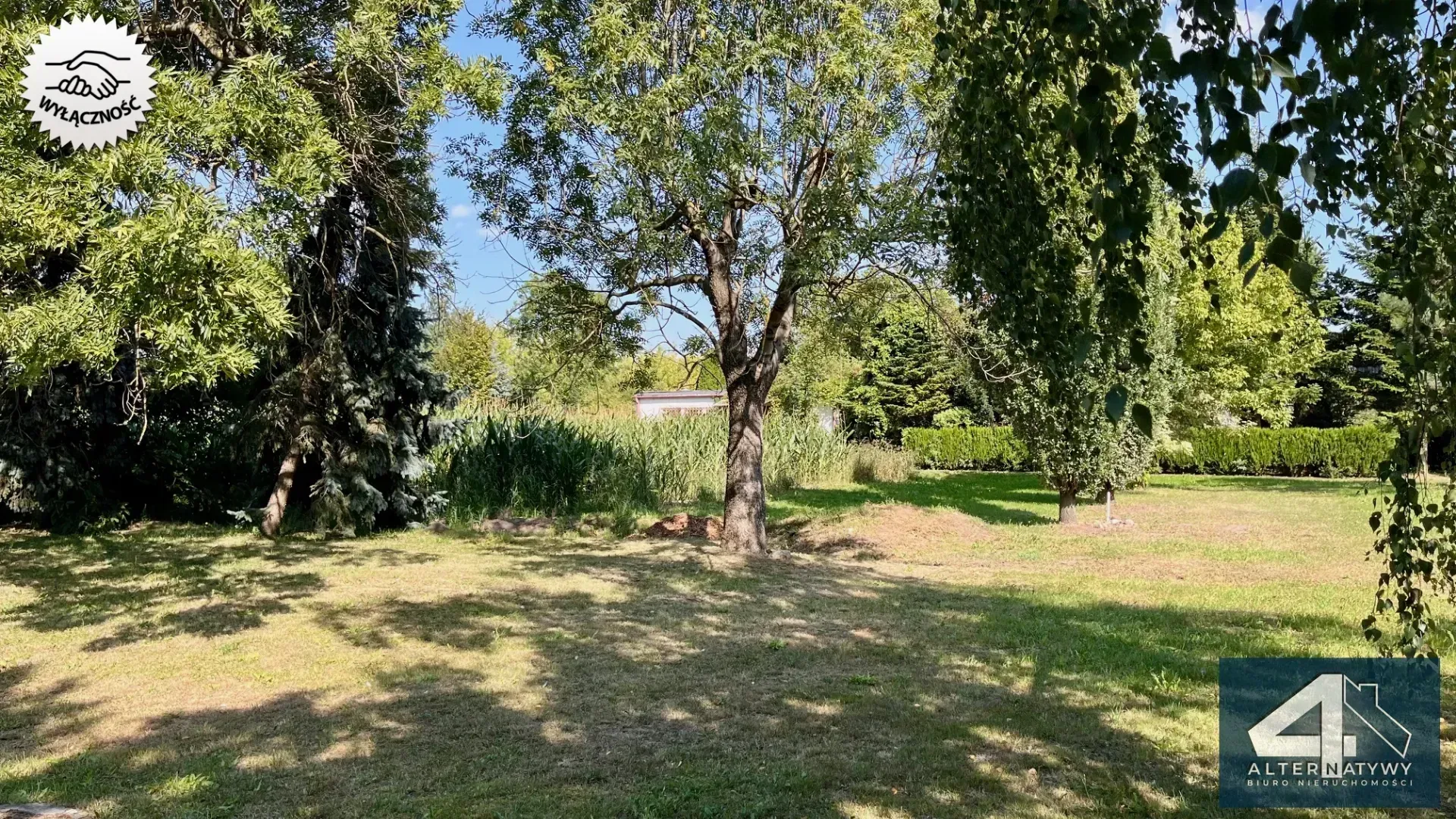 Duża działka z potencjałem 2