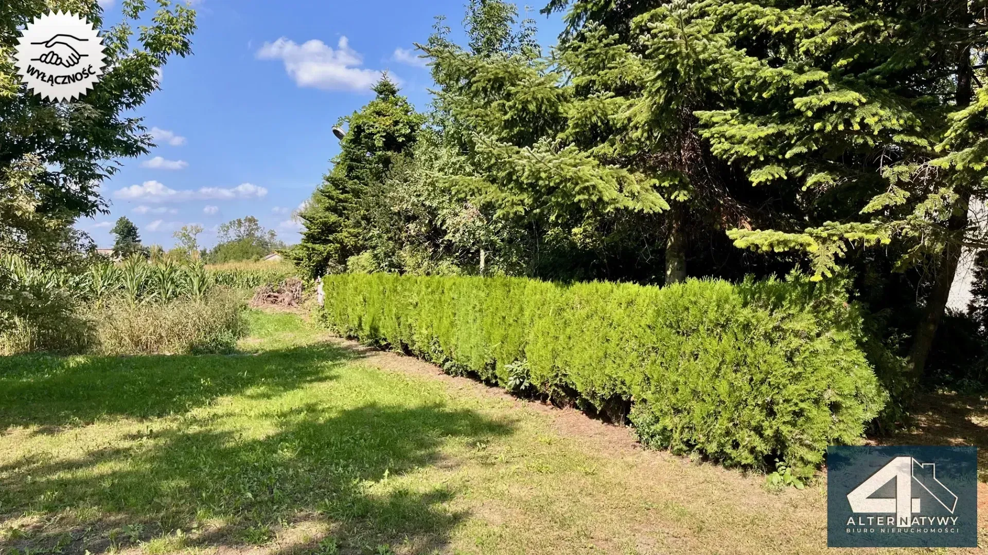 Duża działka z potencjałem 3