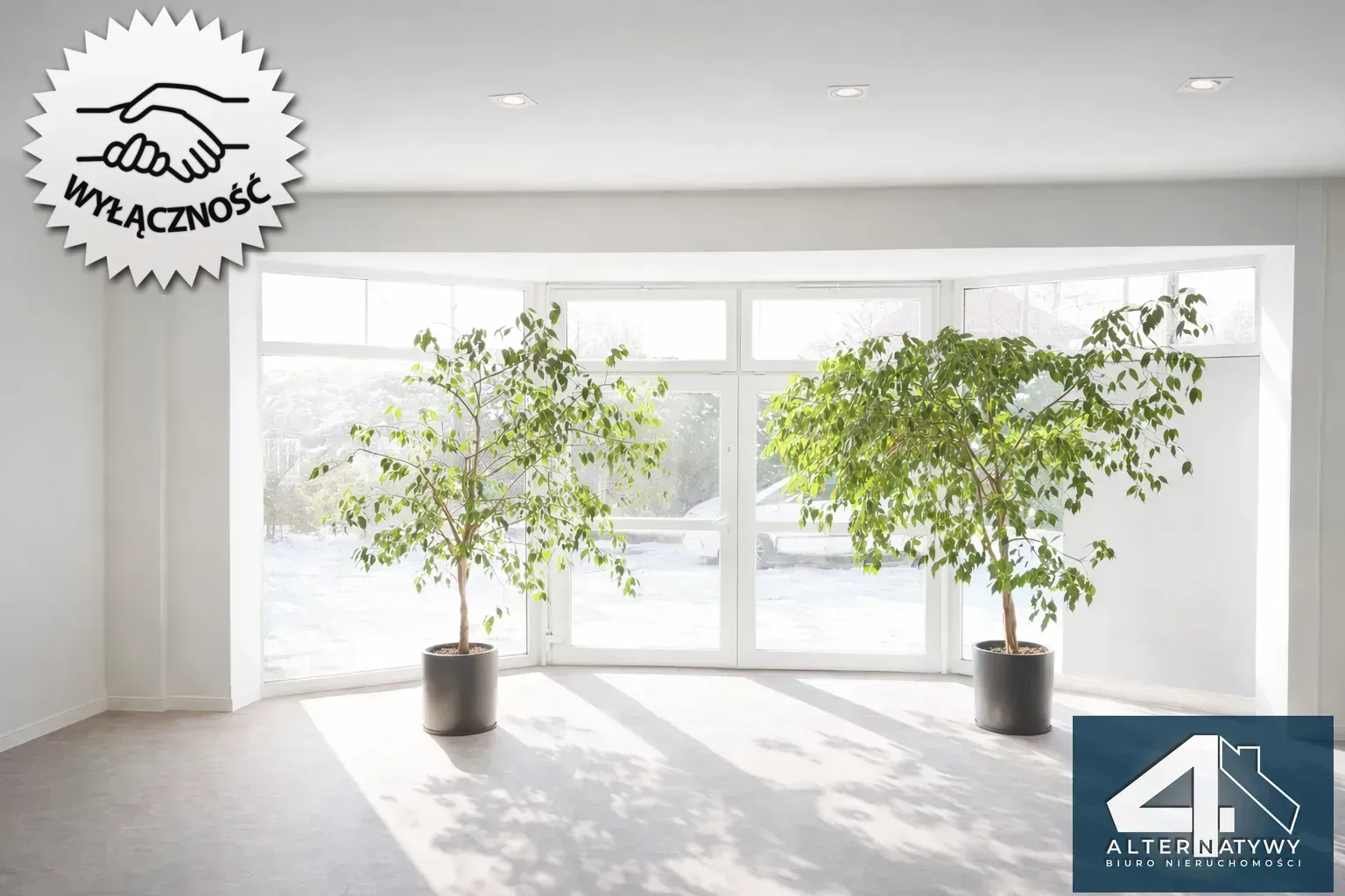 Showroom + biuro + magazyn przy A2 6