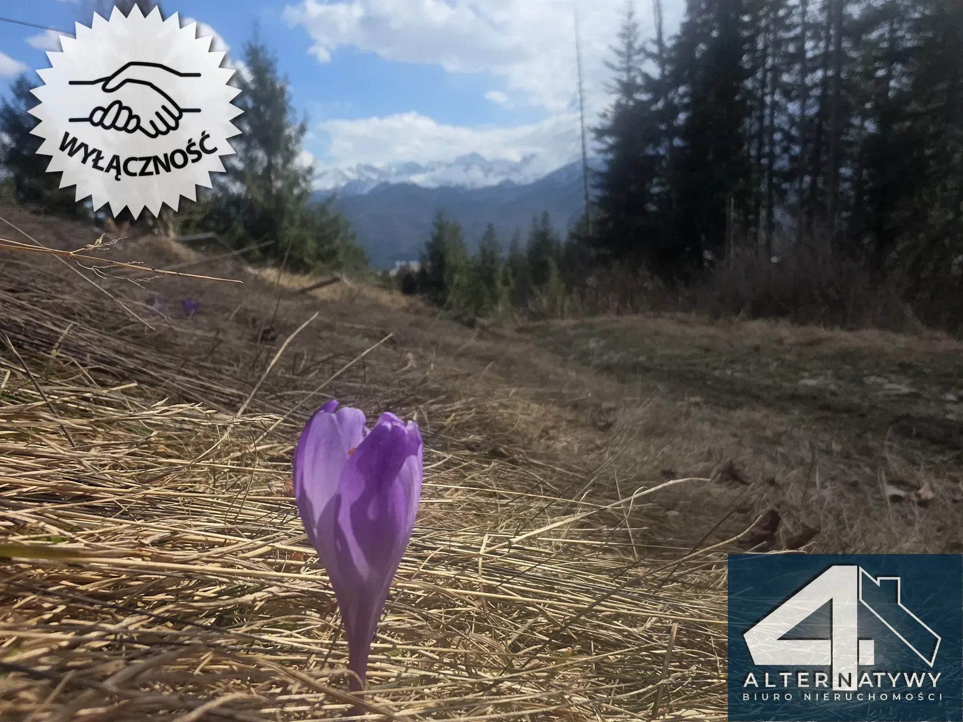 Działka na Gubałówce z widokiem na Tatry 8