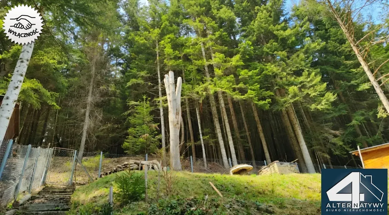 Piękny dom z potencjałem inwestycyjnym 16