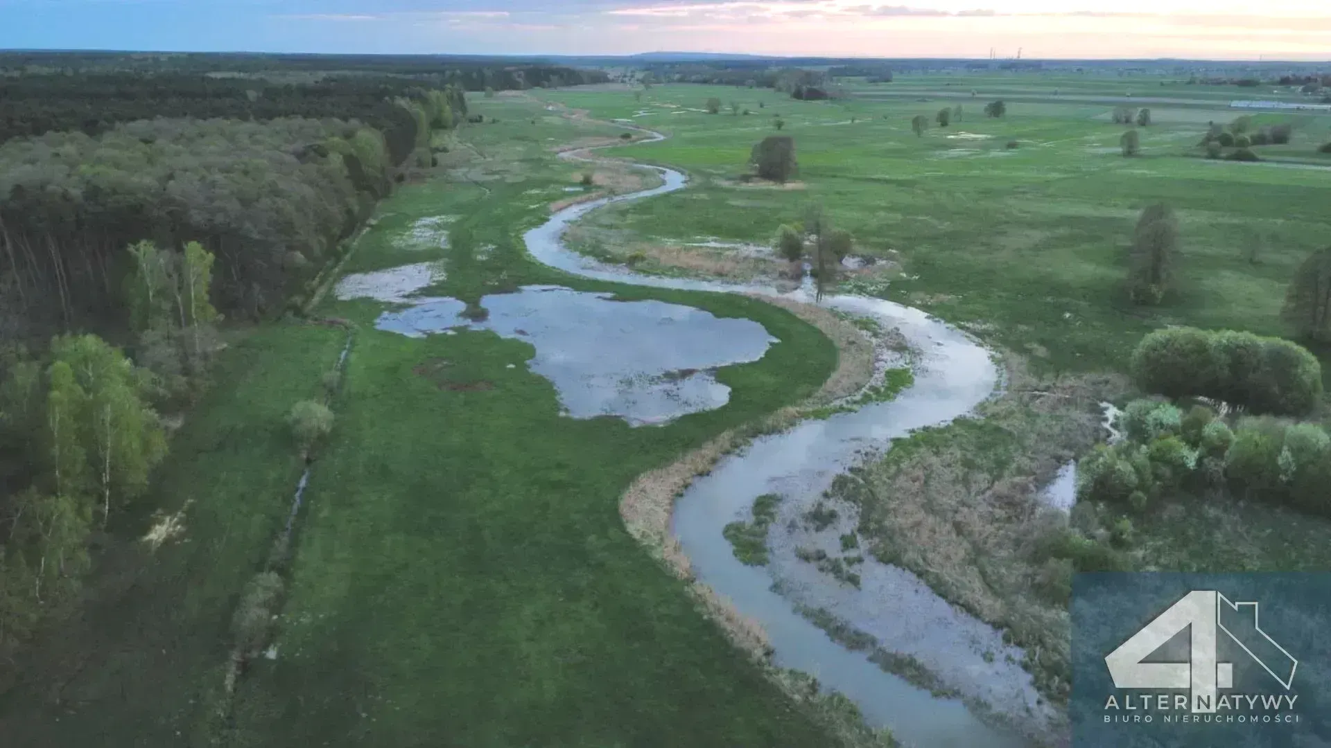 Działka | natura | okolice rzeki Luciąża 1