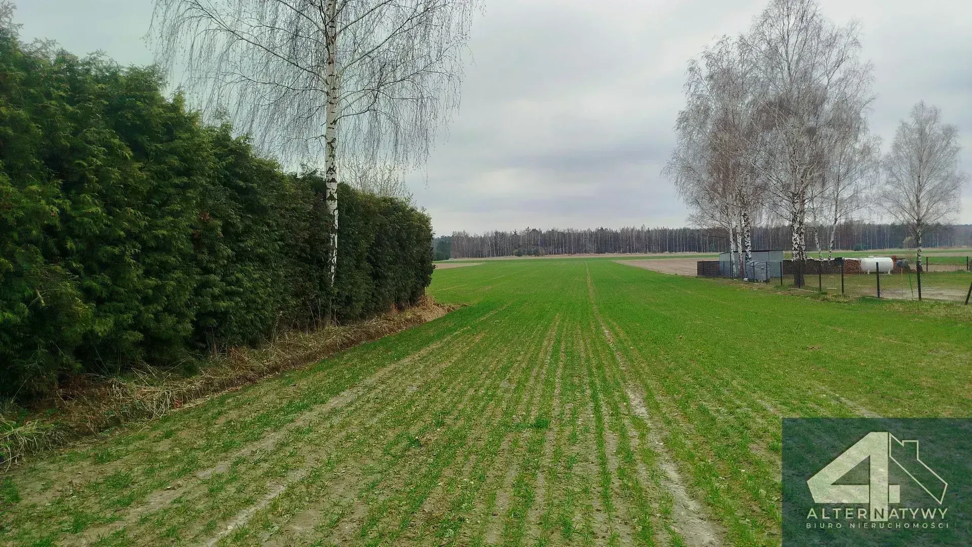 Działka | natura | okolice rzeki Luciąża 5