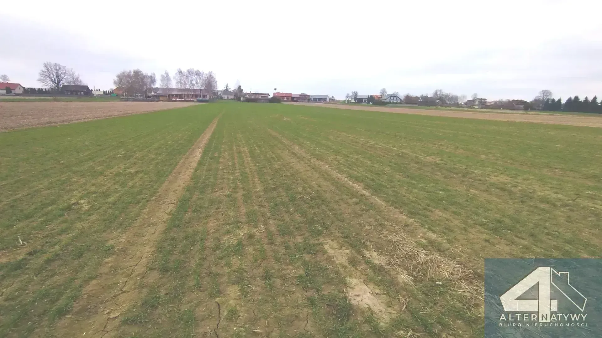 Działka | natura | okolice rzeki Luciąża 7