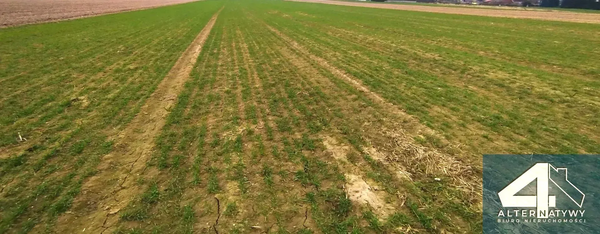 Działka | natura | okolice rzeki Luciąża 9