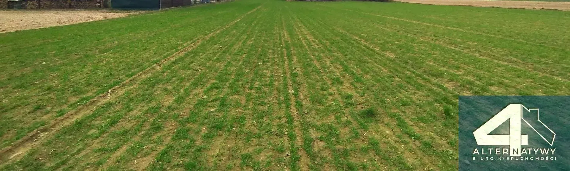 Działka | natura | okolice rzeki Luciąża 10