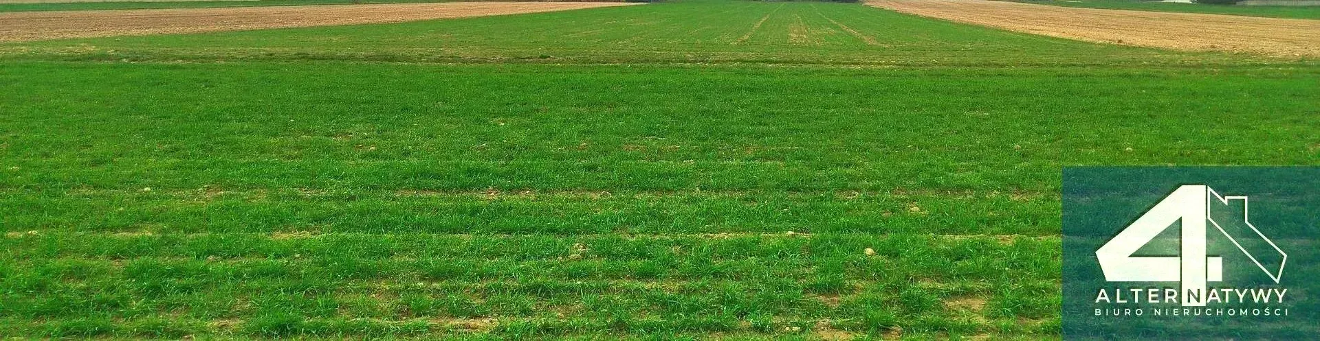 Działka | natura | okolice rzeki Luciąża 11