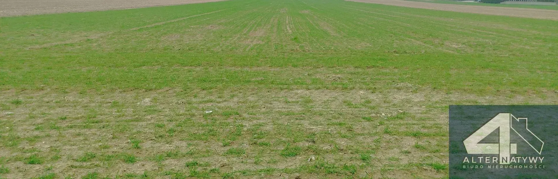 Działka | natura | okolice rzeki Luciąża 12