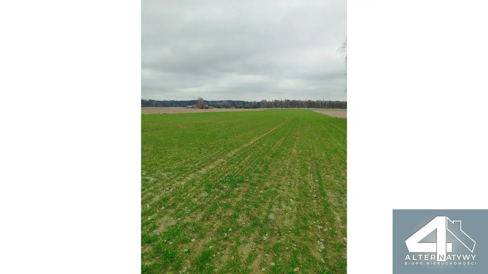 Działka | natura | okolice rzeki Luciąża 8