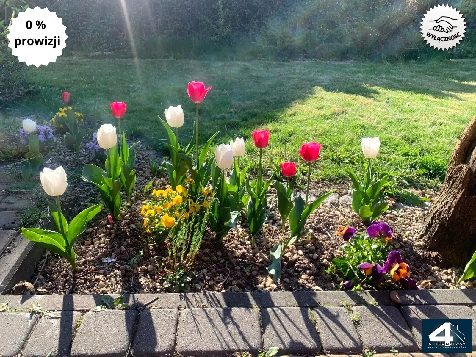 Bez Prowizji! Rybna, Dom, 5 pokoi, klima, ogród! 15