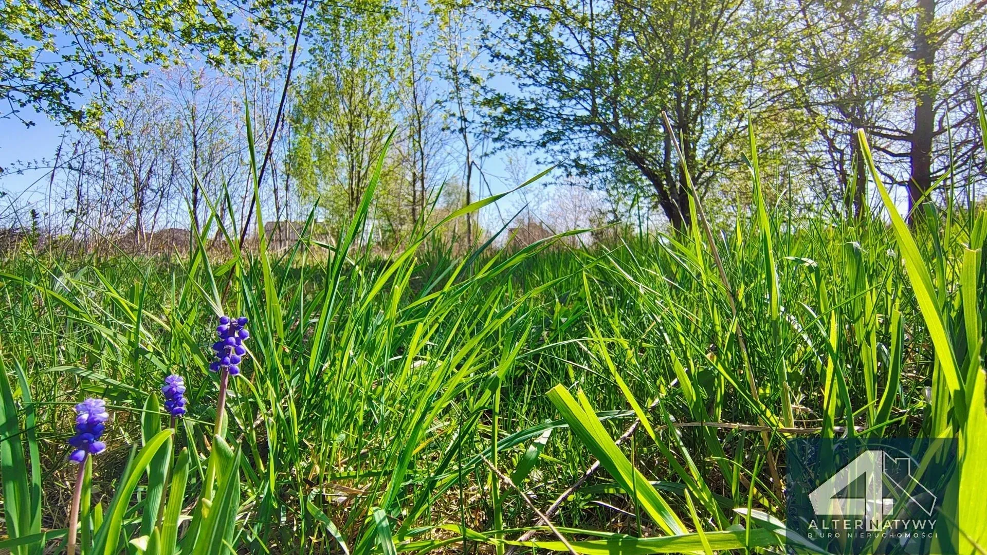 Działka Budowlana z Warunkami Zabudowy 5