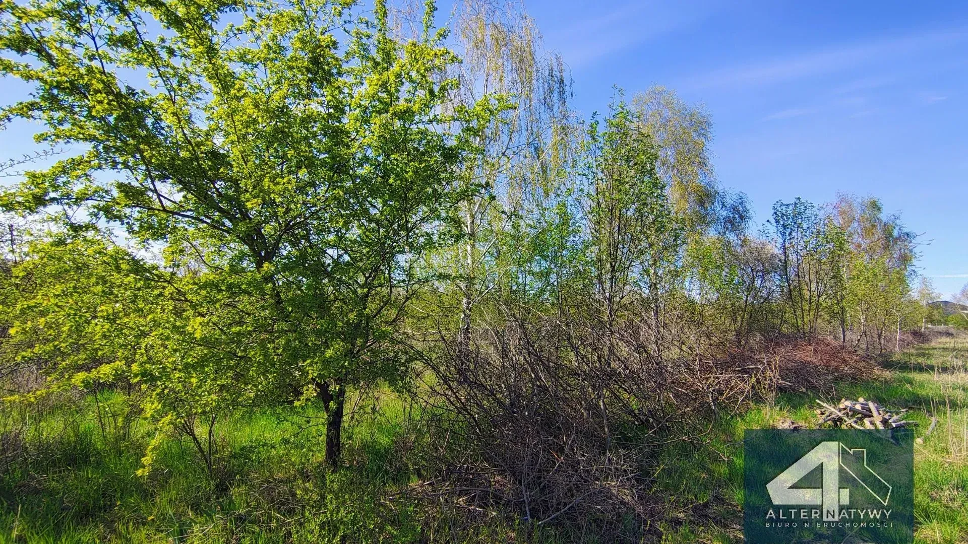 Działka Budowlana z Warunkami Zabudowy 6