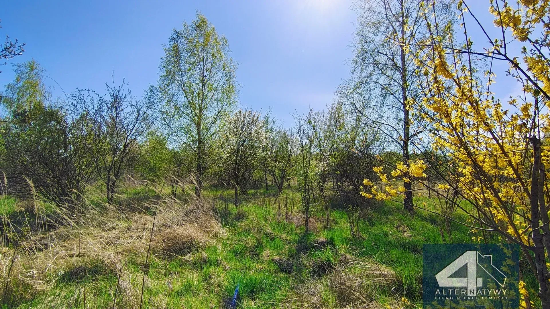Działka Budowlana z Warunkami Zabudowy 7