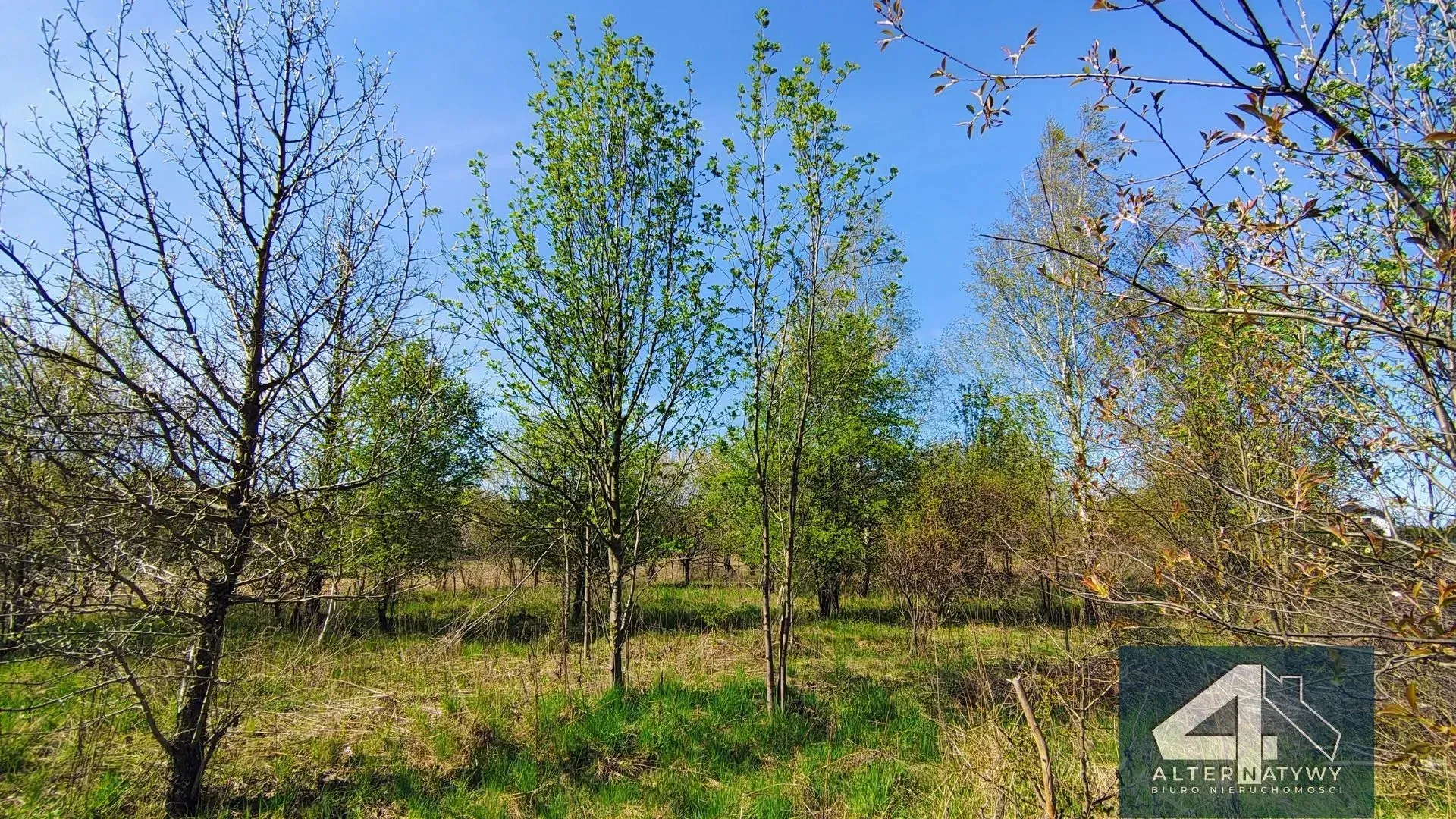 Działka Budowlana z Warunkami Zabudowy 8