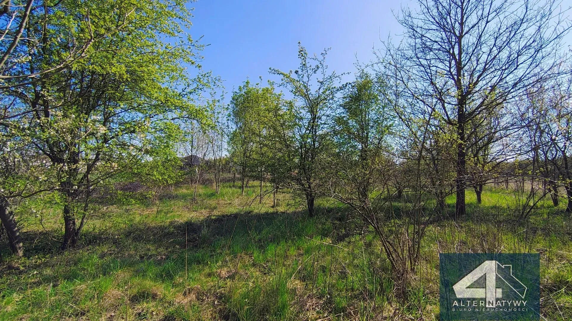 Działka Budowlana z Warunkami Zabudowy 9