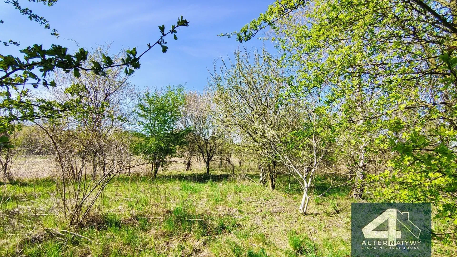 Działka Budowlana z Warunkami Zabudowy 10