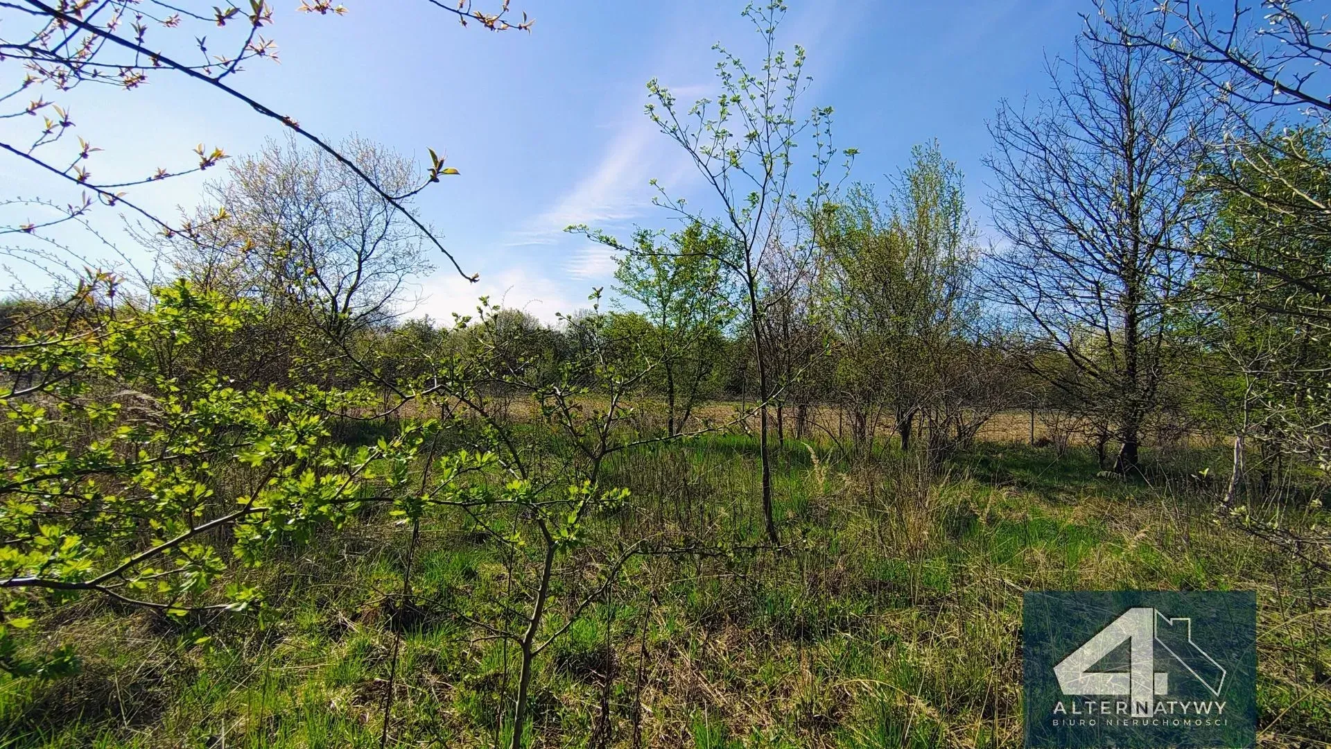 Działka Budowlana z Warunkami Zabudowy 12