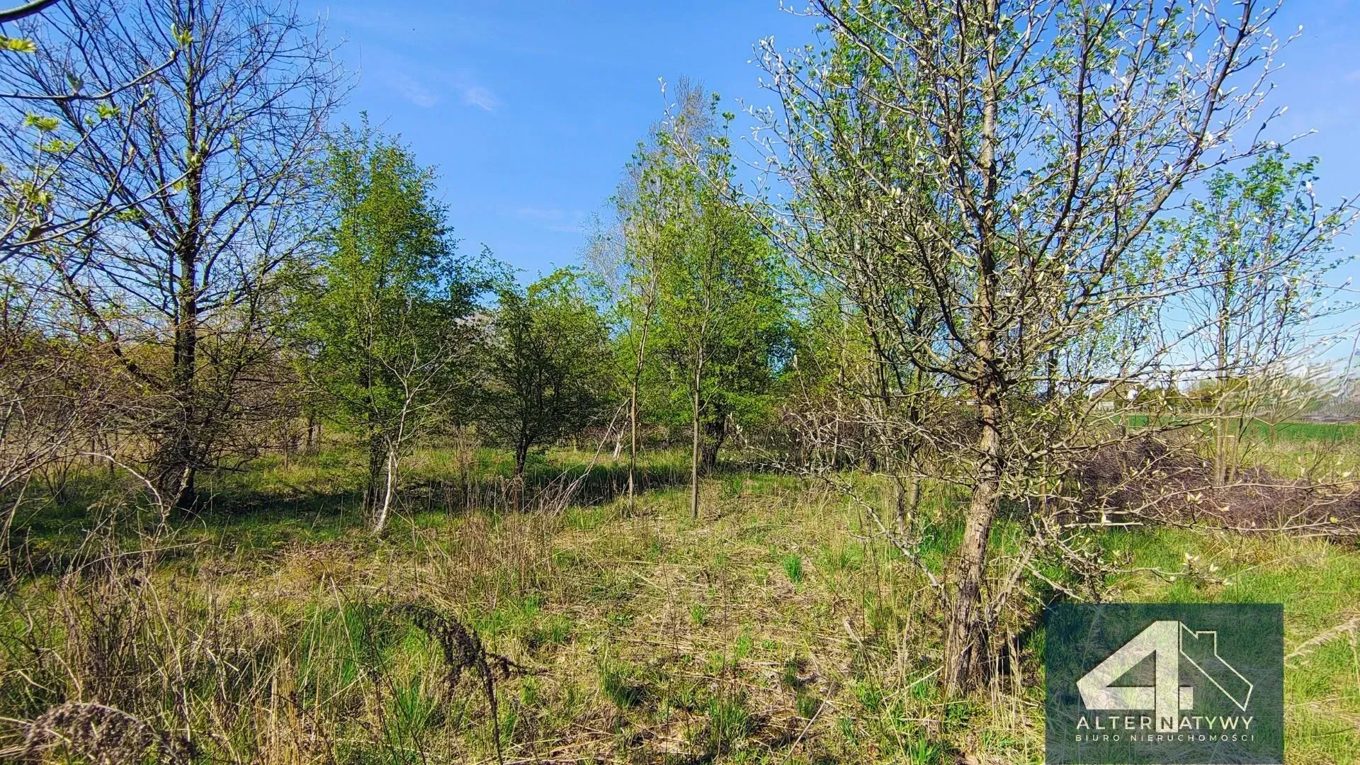 Działka Budowlana z Warunkami Zabudowy 13