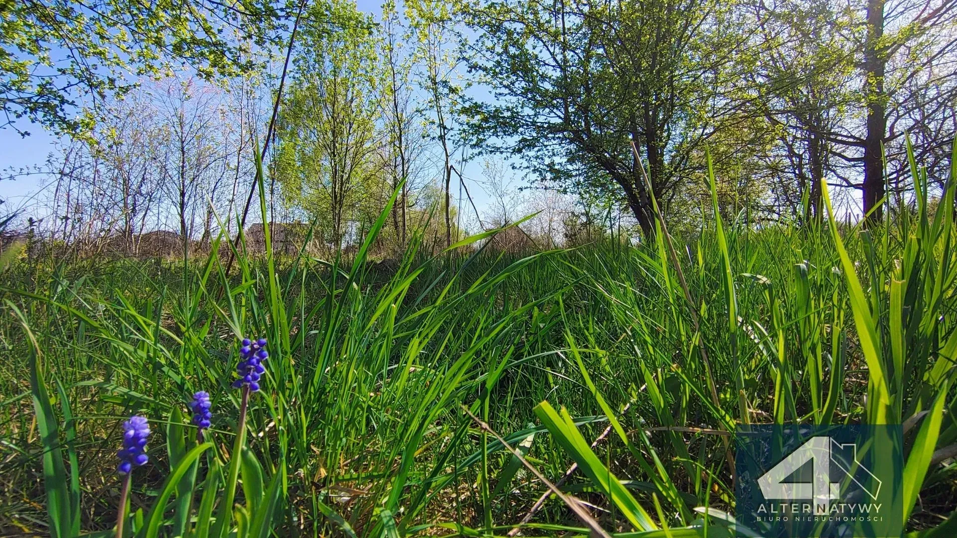 Działka Budowlana z Warunkami Zabudowy 15