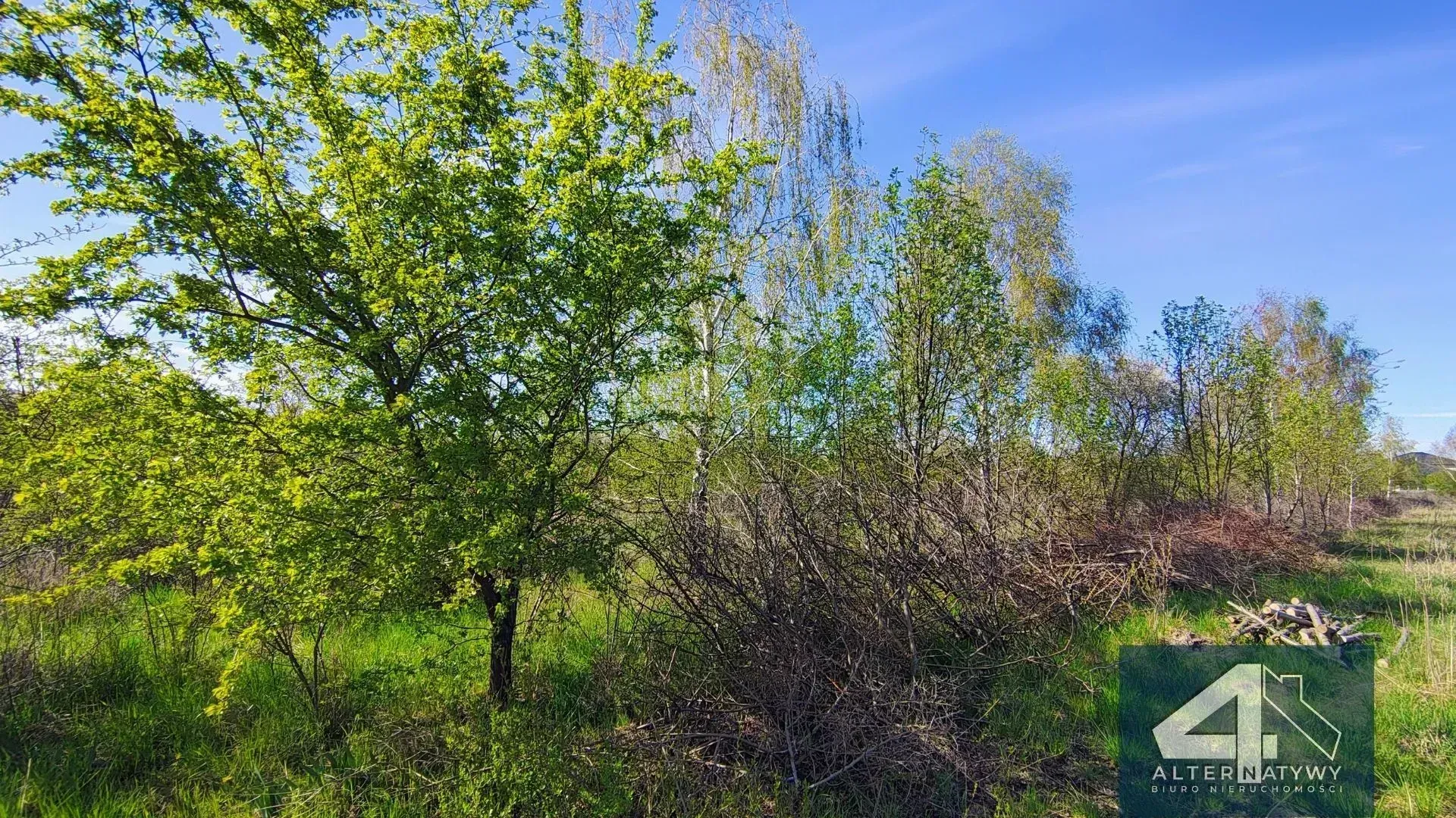 Działka Budowlana z Warunkami Zabudowy 6