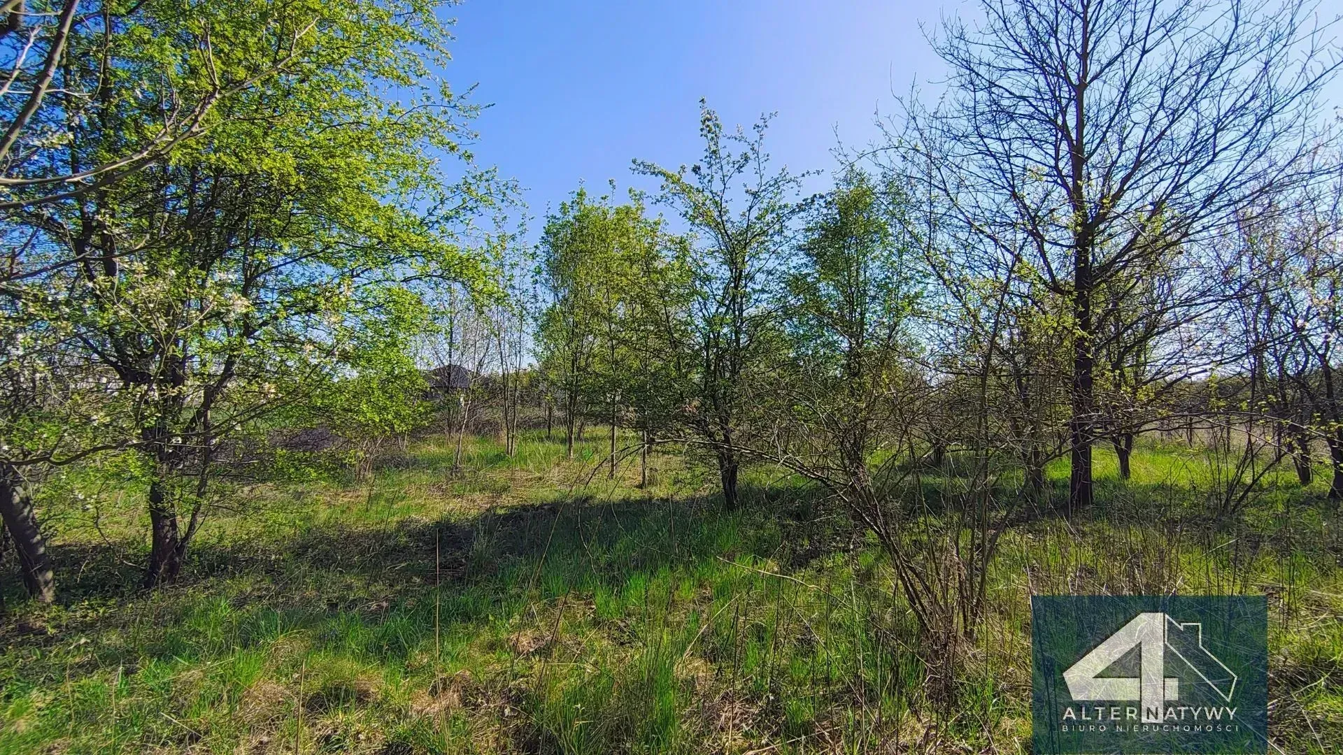 Działka Budowlana z Warunkami Zabudowy 9