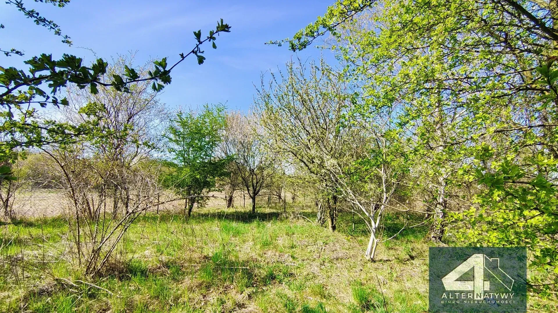 Działka Budowlana z Warunkami Zabudowy 10
