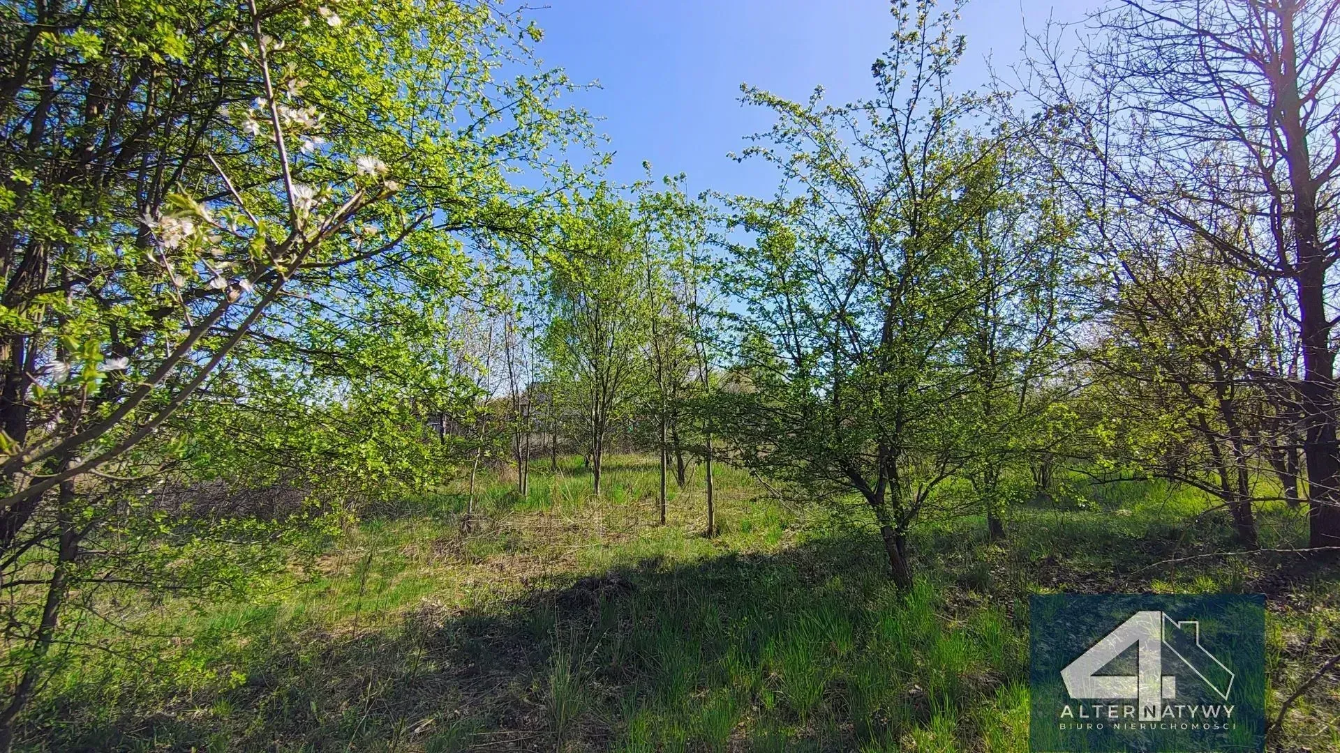 Działka Budowlana z Warunkami Zabudowy 11