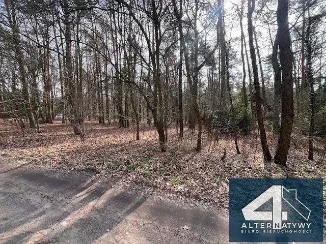 Działka w leśnym zaciszu Sokolnik 1680 m2 2