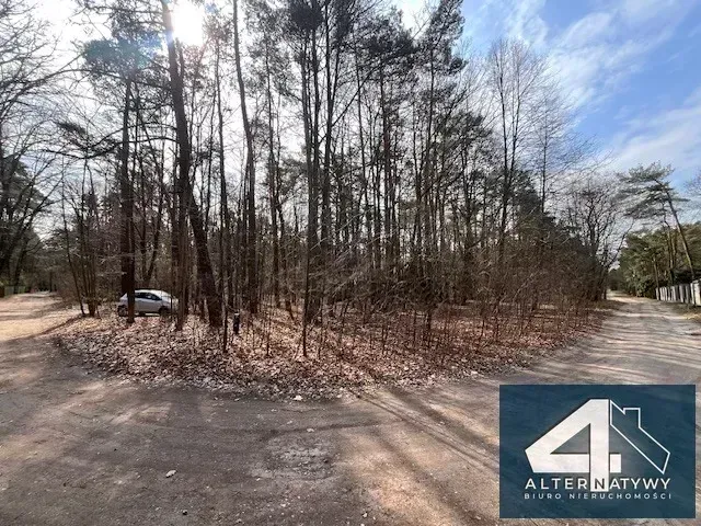 Działka w leśnym zaciszu Sokolnik 1680 m2 3