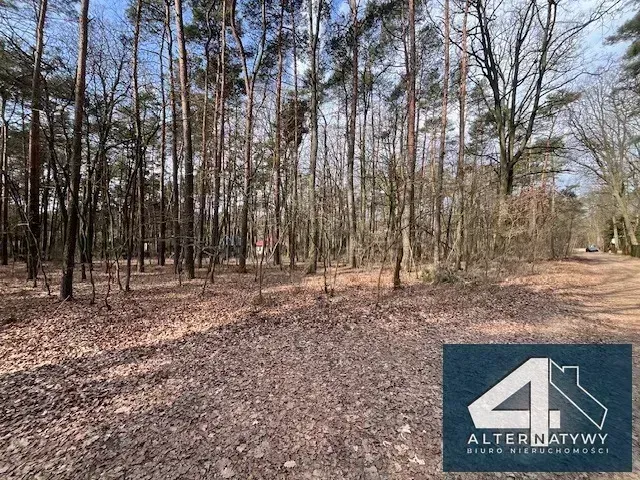 Działka w leśnym zaciszu Sokolnik 1680 m2 4