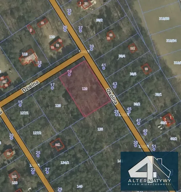 Działka w leśnym zaciszu Sokolnik 1680 m2 6