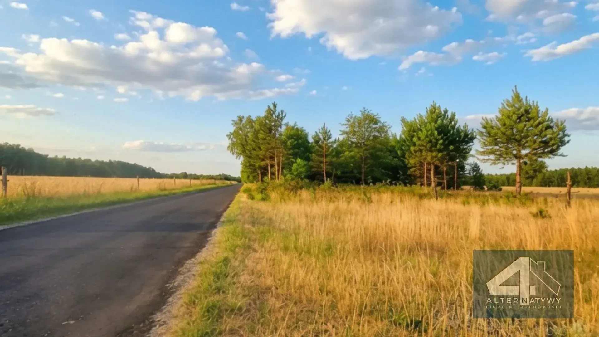 Działka przy lesie | Duże 3000m² 2