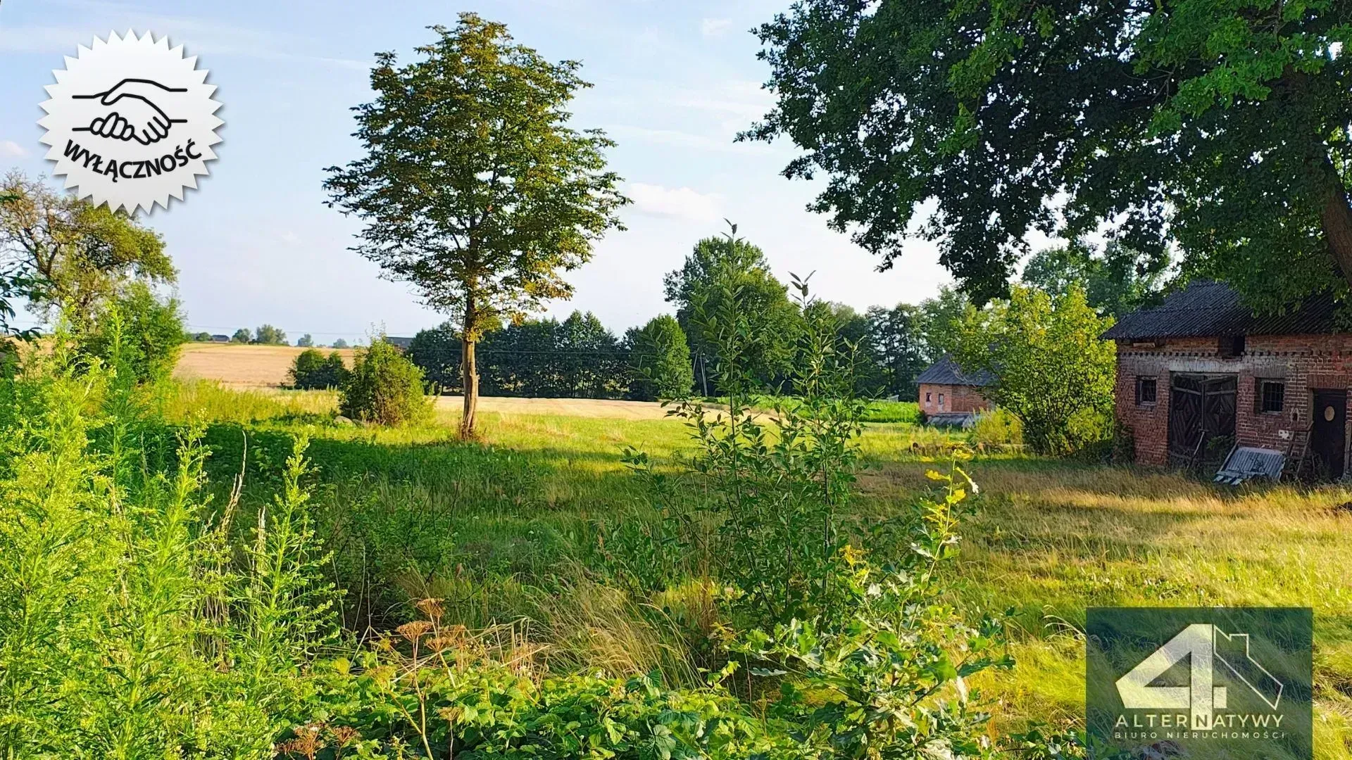 Działka z potencjałem na Twój dom z ogrodem 3