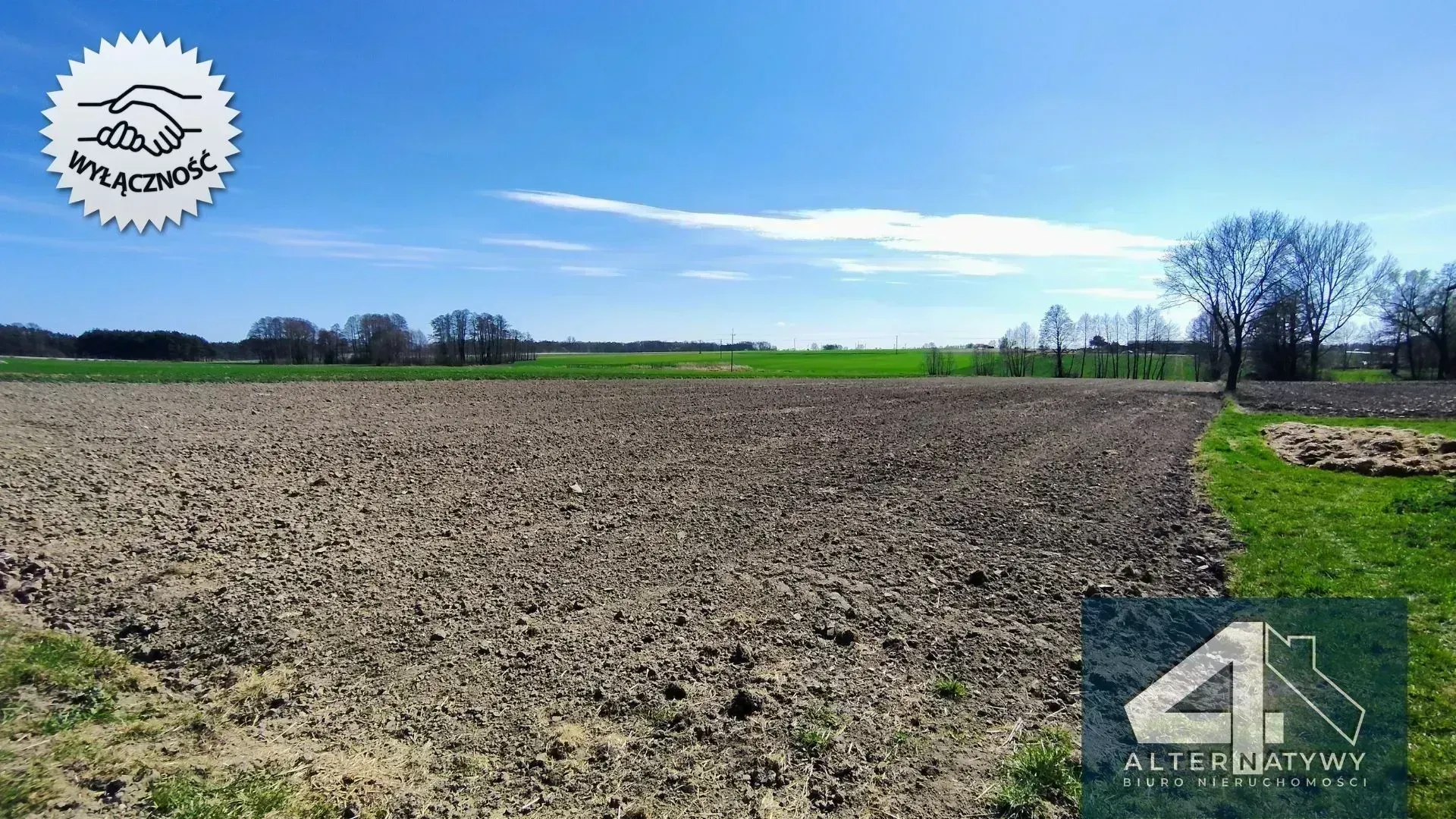 Działka z potencjałem na Twój dom z ogrodem 7